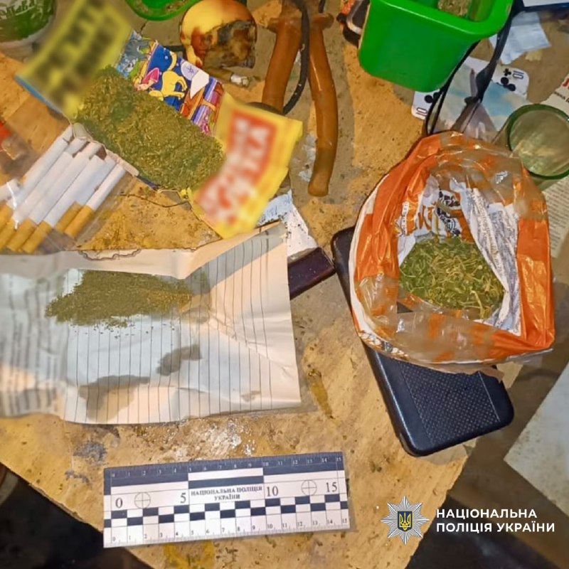 Поліцейські Харківщини вилучили 65 кущів конопель (фото)