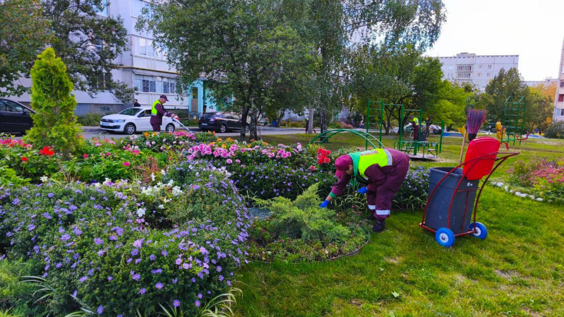 Комунальники слідкують за чистотою дворів у Харкові (фото)