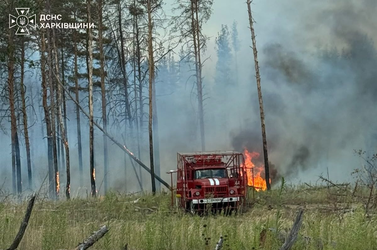 На Харківщині триває ліквідація 7 лісових пожеж