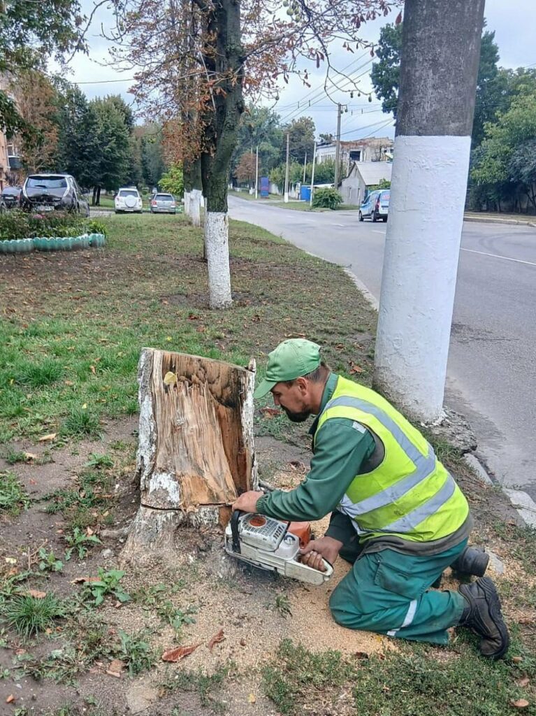 Чисті вулиці та доглянуті сквери: як комунальники чепурять Харків