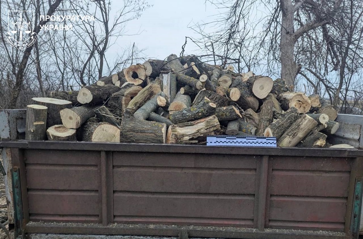 Суд розгляне справу мешканця Харківщини, який організував незаконну вирубку 42 дерев