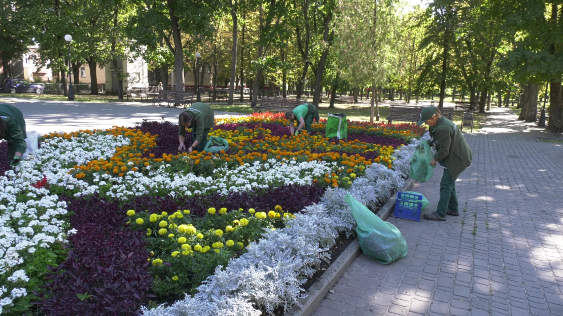 Квіти повернуться навесні: як Харків готує рослини до нового сезону
