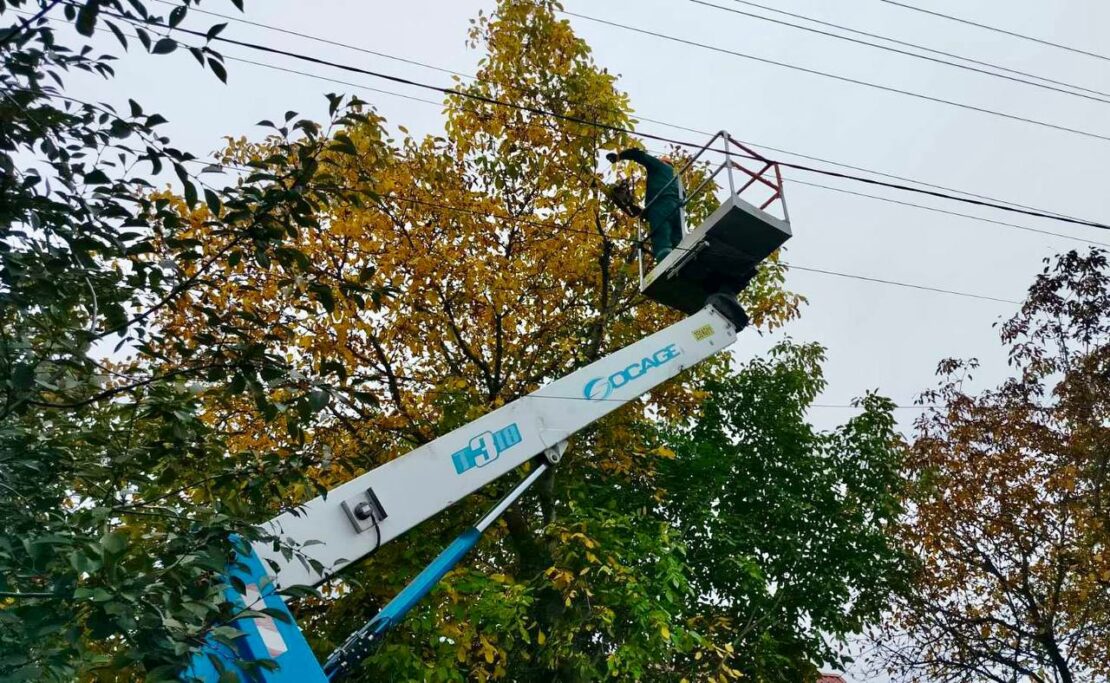 Протягом тижня з Харкова вивезли 980 кубометрів гілок (фото)