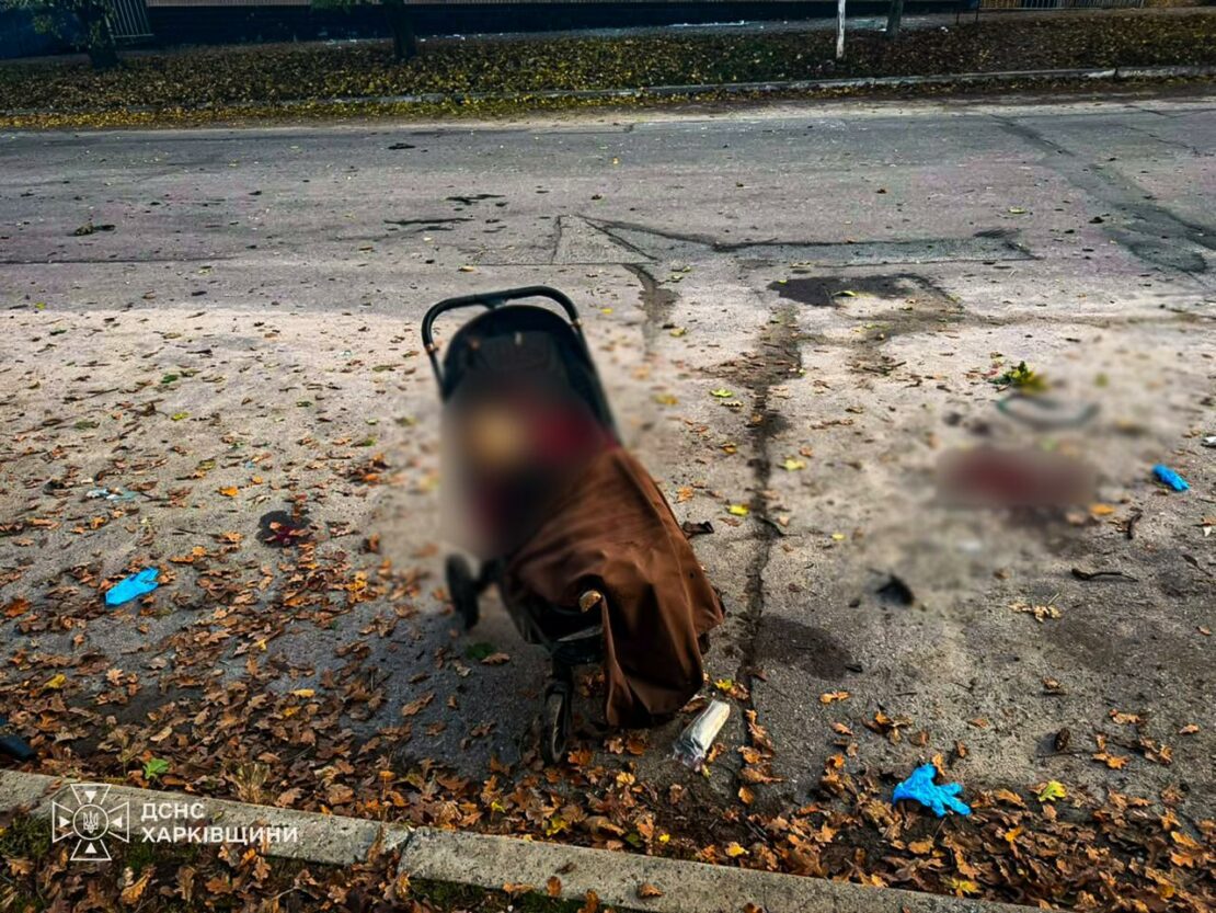 Удар по парку на Харківщині: загинули двоє жінок та немовля (фото)