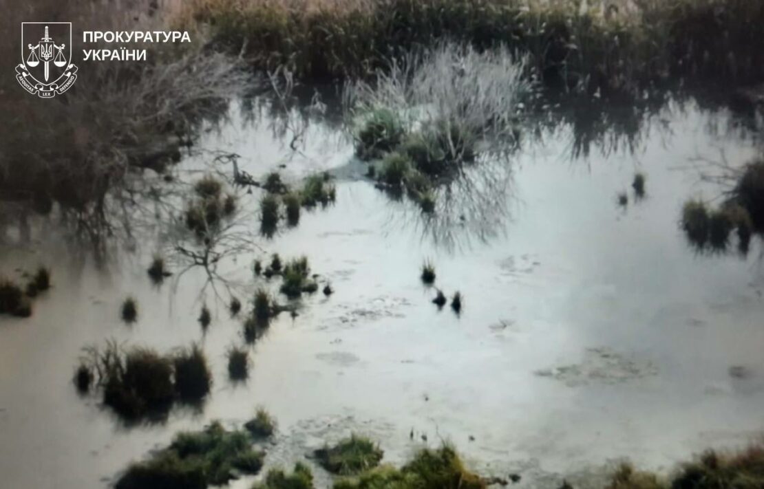 Забруднення річки на Харківщині: прокуратура розпочала розслідування