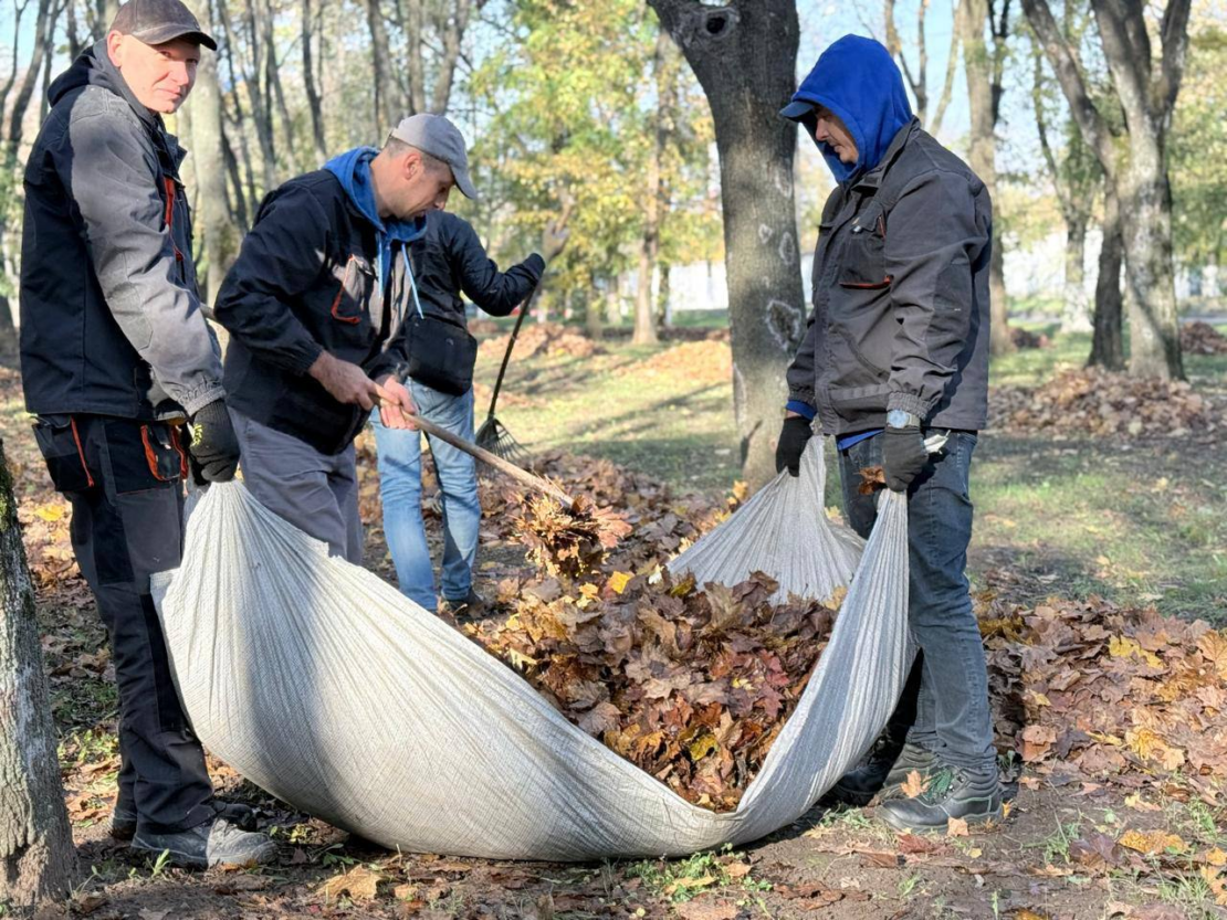 У парках і скверах Харкова прибирають листя (фото)