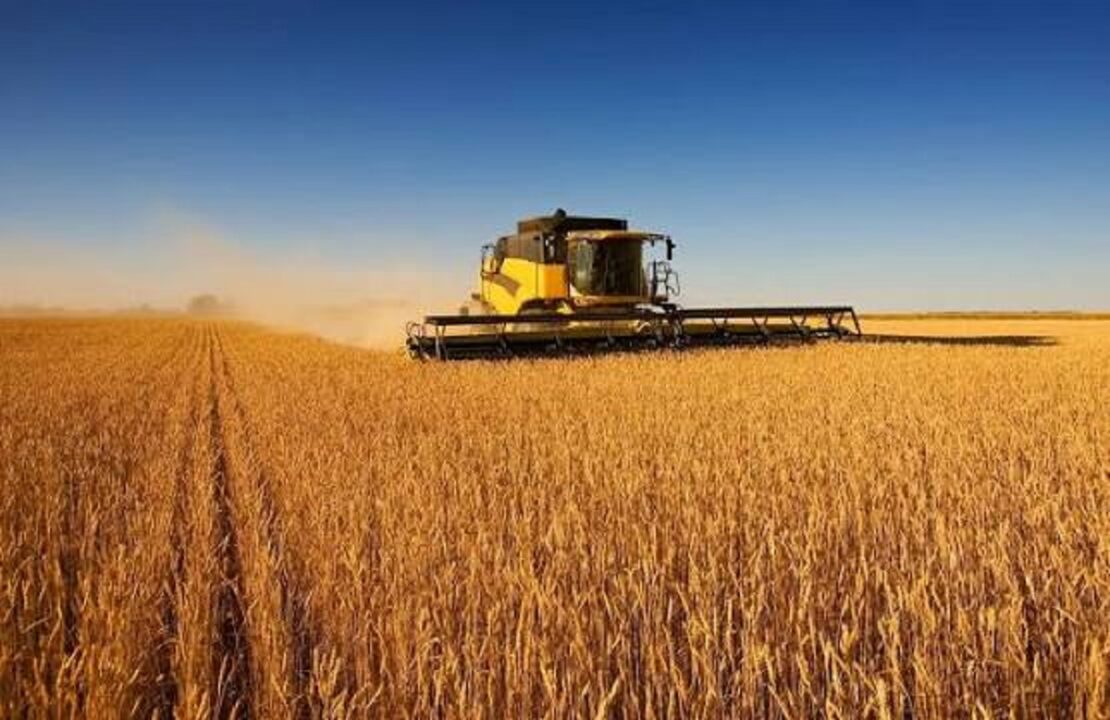 На Харківщині зібрали понад 2,3 млн тонн зерна