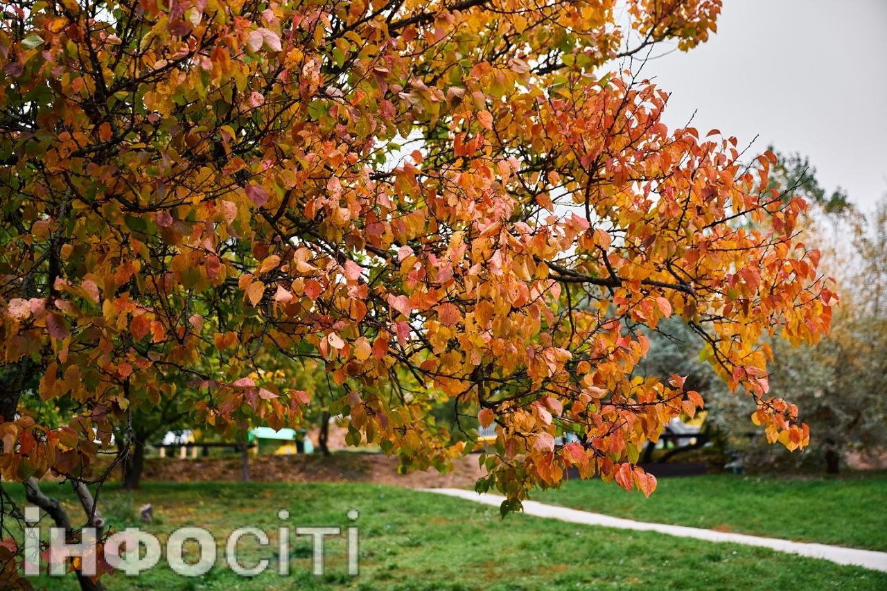 Екватор осені в Харкові (фото)