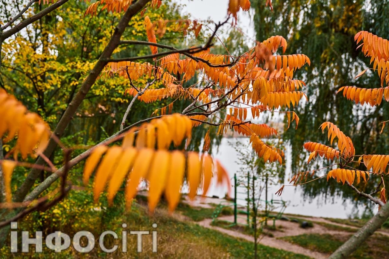 Екватор осені в Харкові (фото)