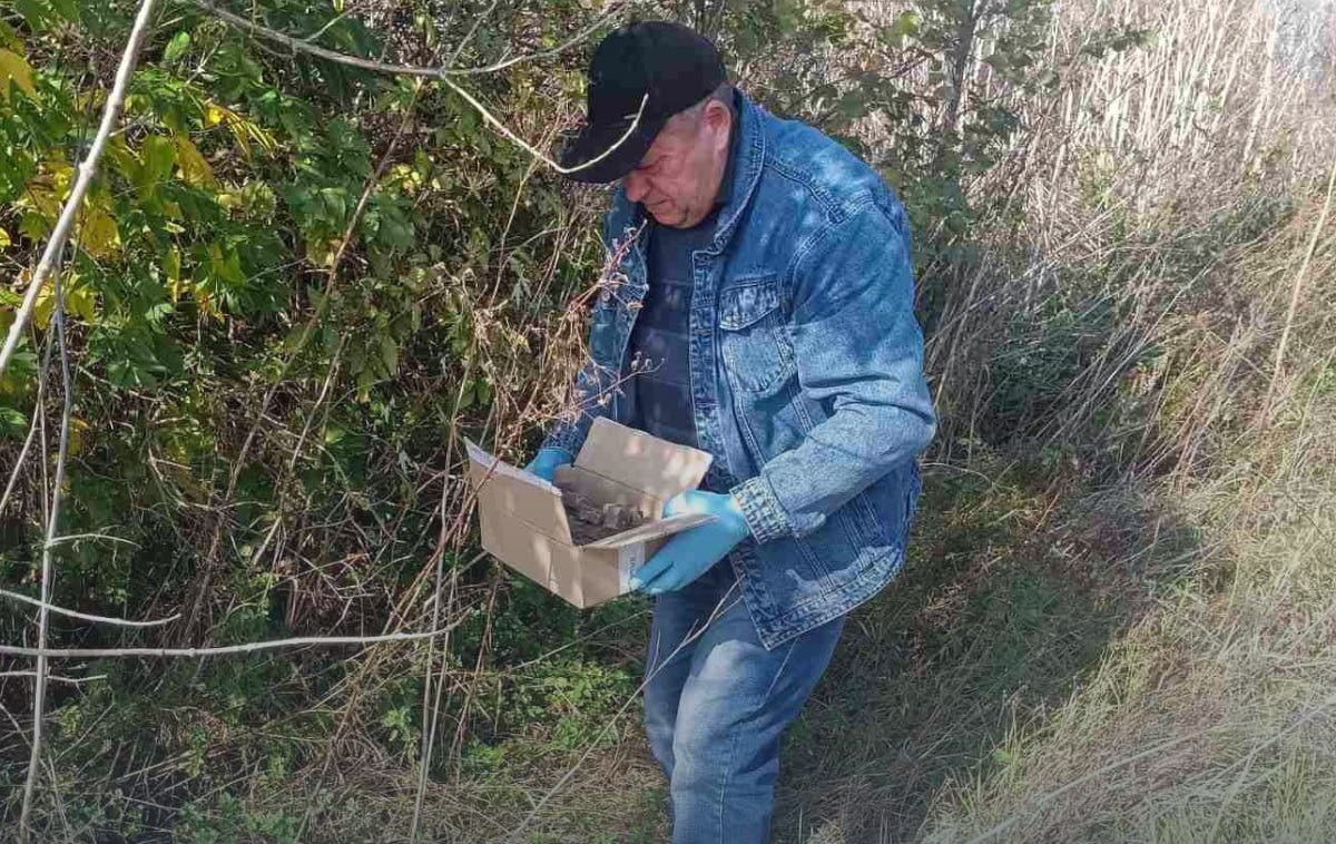 На Харківщині розкидають приманки для диких тварин